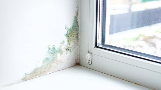 How To Get Rid of Mould on Window Sealant: Easy Tips for a Cleaner Home