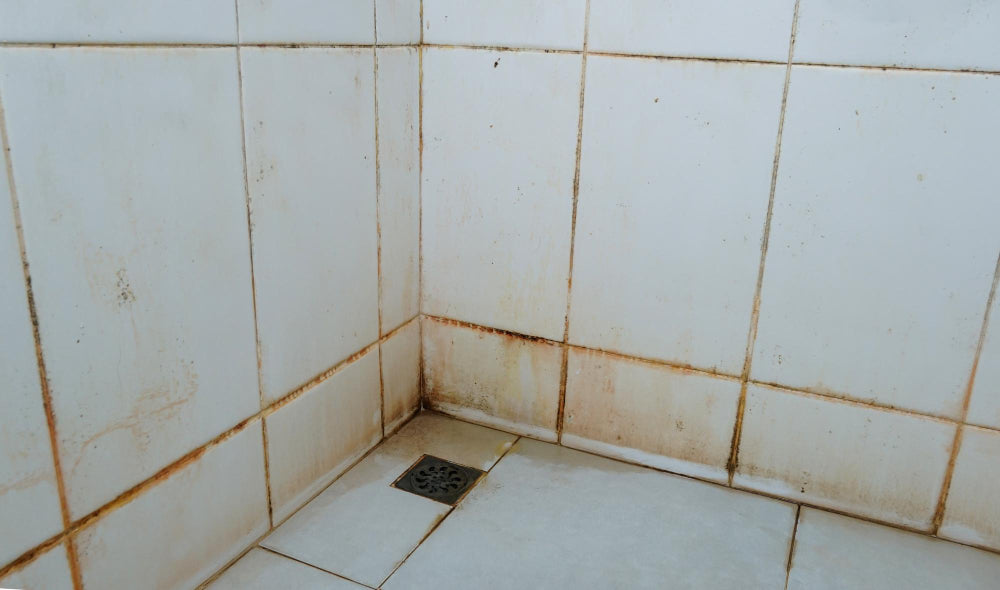 How to Remove Mould from Grout and Caulk in Shower