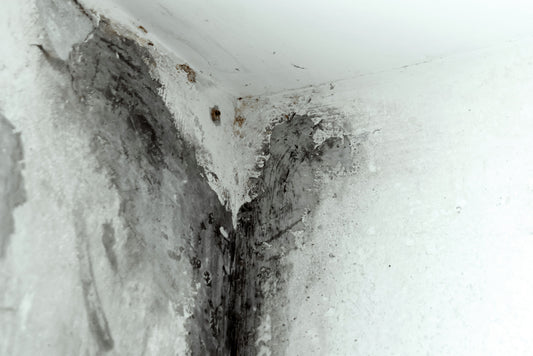 How to Remove Black Mould from Silicone Sealant